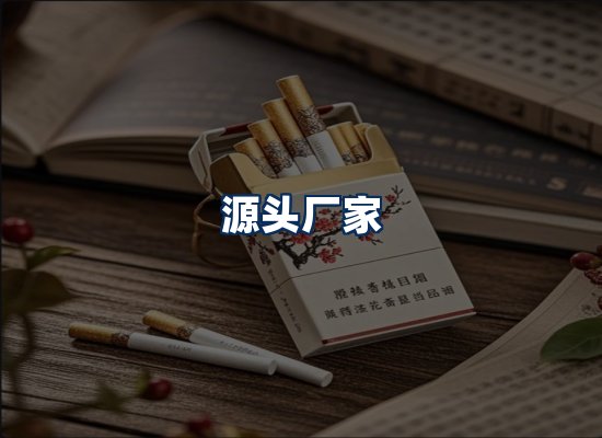 专业团队办公环境
